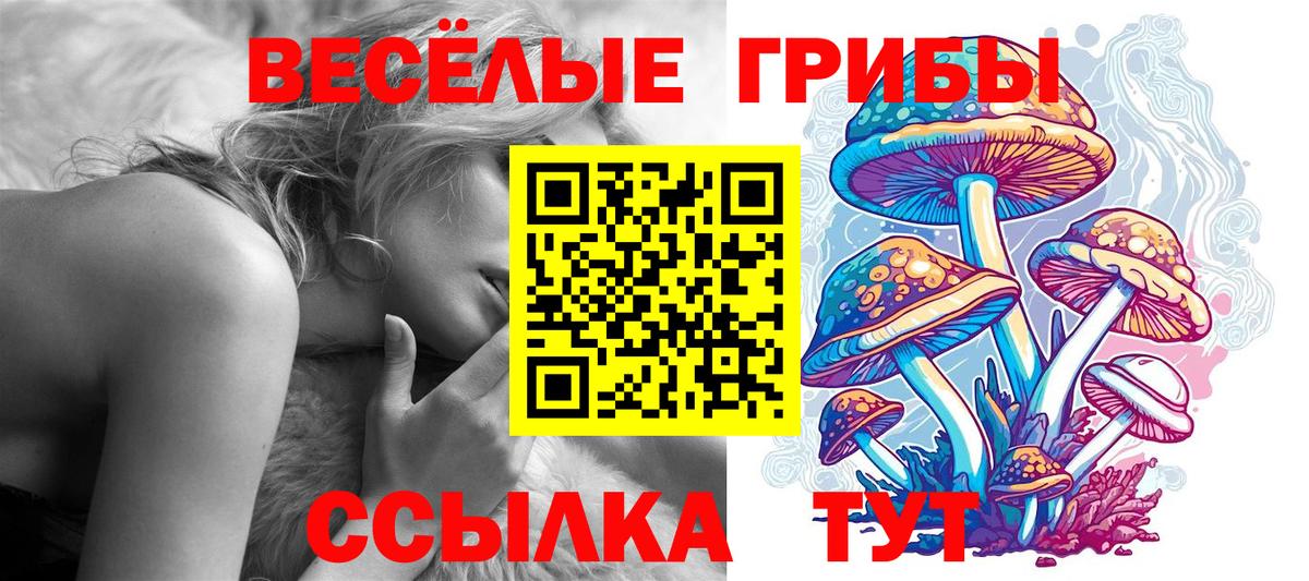 Галлюциногенные грибы ЛСД Дюртюли