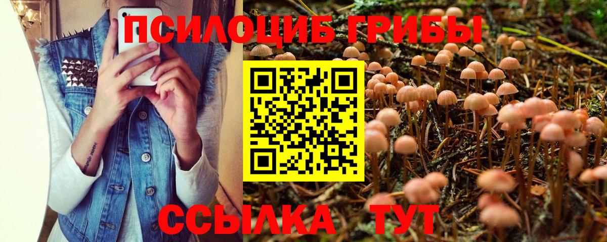 где купить наркотик  Вход с VPN  Дюртюли  Псилоцибиновые грибы MAGIC MUSHROOMS 